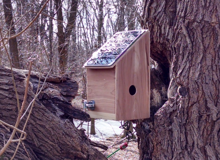 greenSTEM Birdhouse